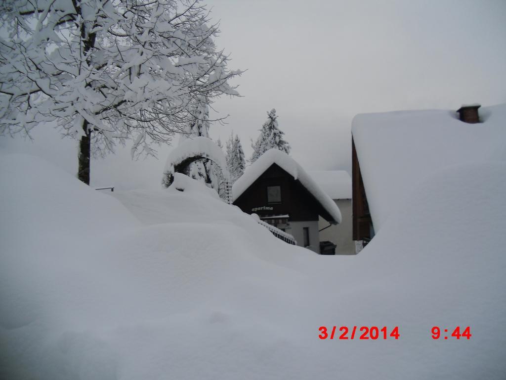 Holiday Home Pri Srni Bohinj Δωμάτιο φωτογραφία